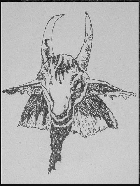 bock bock