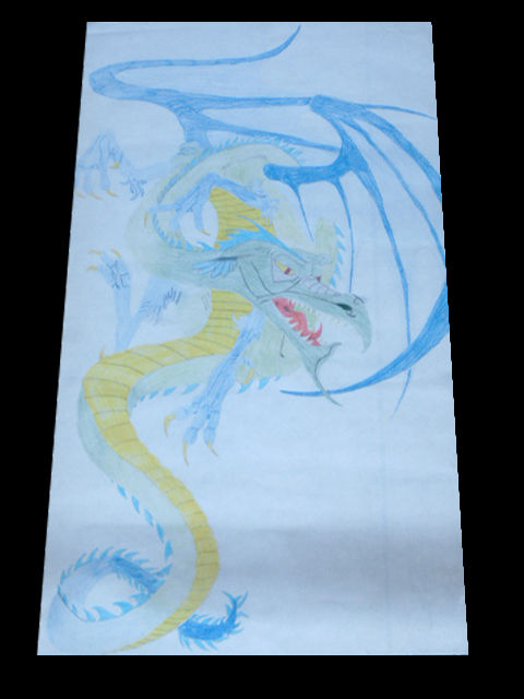 drache drache