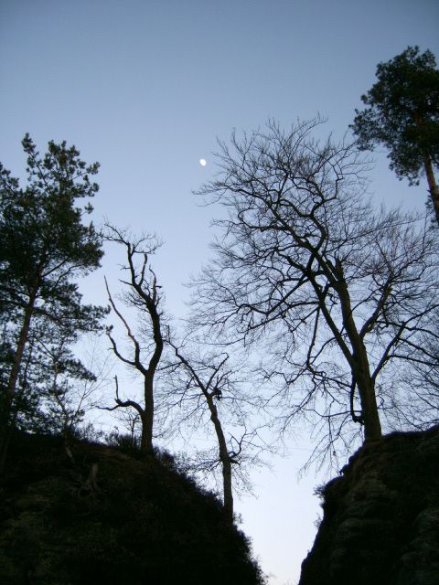 elbsandsteingebirge10 elbsandsteingebirge10