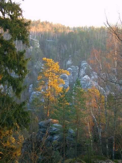 elbsandsteingebirge19 elbsandsteingebirge19
