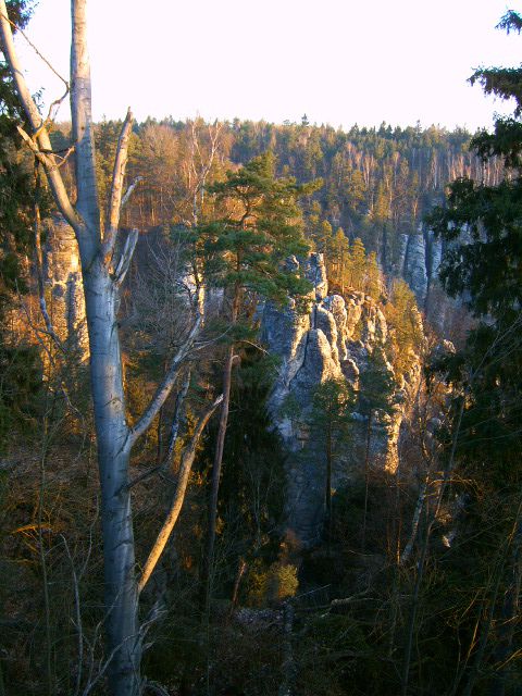 elbsandsteingebirge21 elbsandsteingebirge21