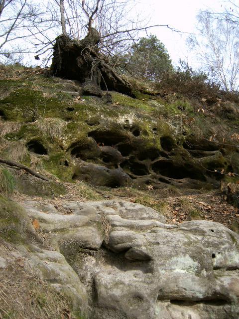elbsandsteingebirge41 elbsandsteingebirge41