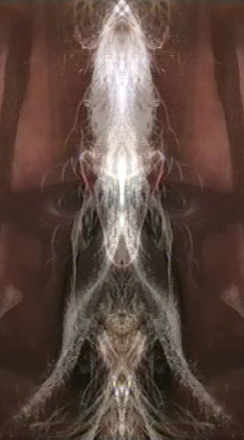 grimself-collage-insekt grimself-collage-insekt