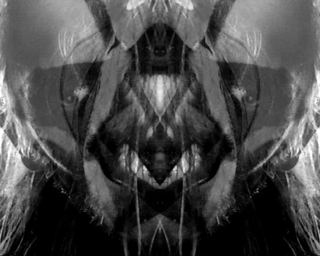 grimself-collage-tribal-1 grimself-collage-tribal-1