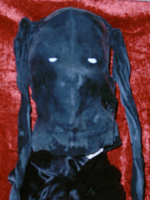 latexmaske.mit.zwillingszoepfen2 latexmaske.mit.zwillingszoepfen2