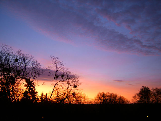 sunset01 sunset01