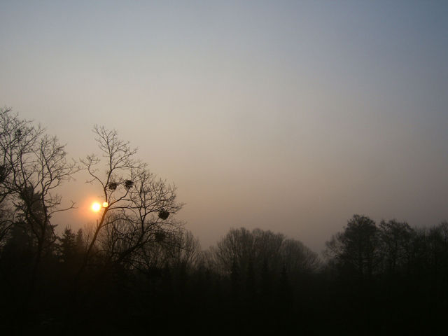 sunset04 sunset04