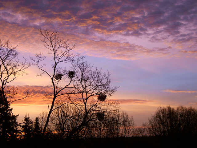 sunset05 sunset05