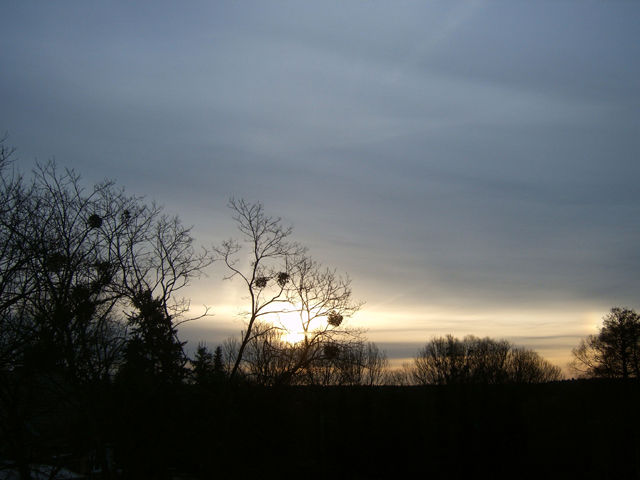 sunset06 sunset06